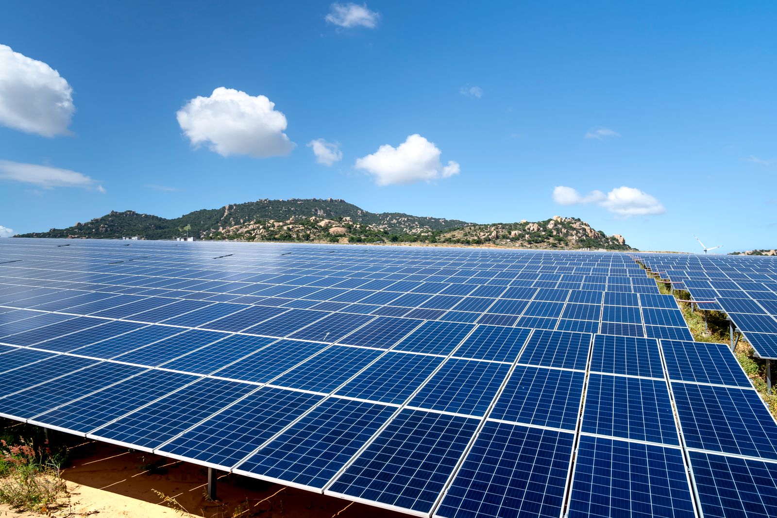 Solar panels installed in a field